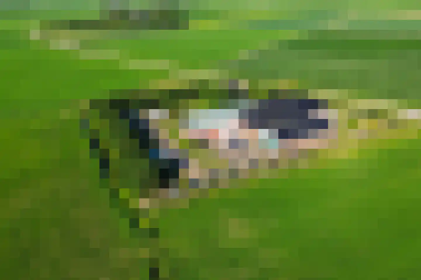 Fjildbuorsterwei 9 Brantgum thumbnail 49