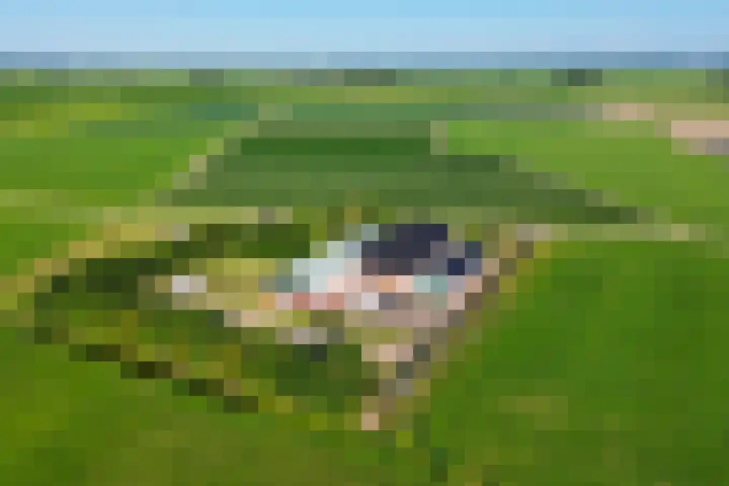 Fjildbuorsterwei 9 Brantgum thumbnail 50