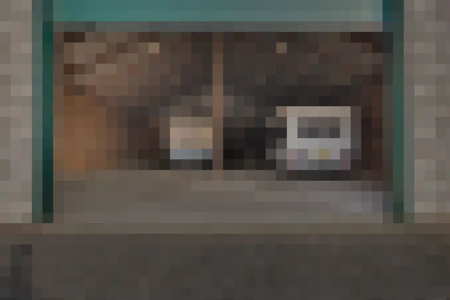 Fjildbuorsterwei 9 Brantgum thumbnail 56