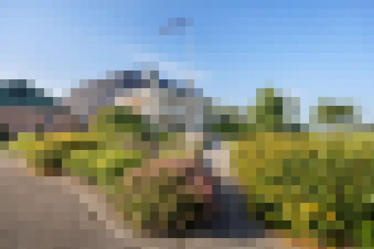 Fjildbuorsterwei 9 Brantgum thumbnail 57
