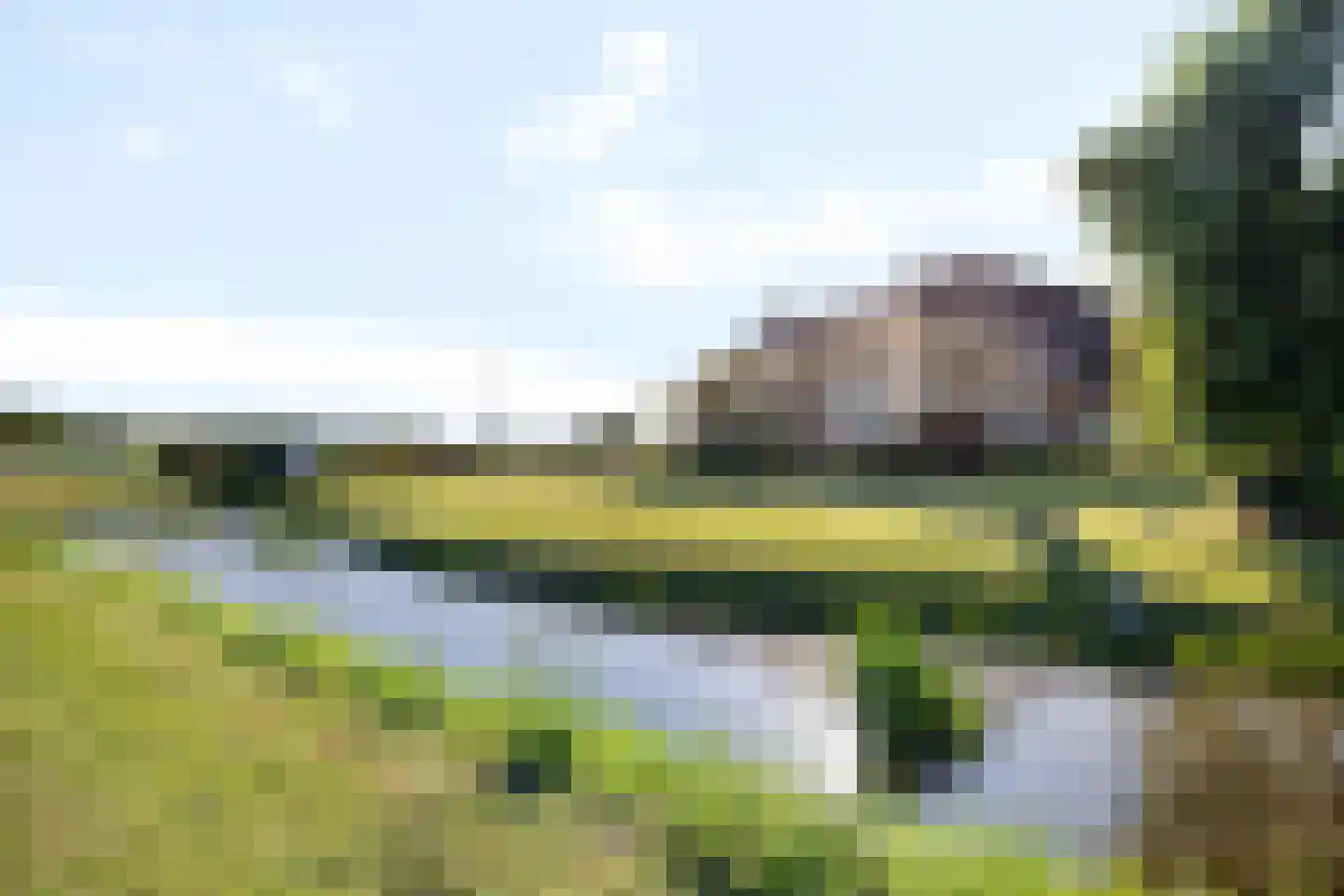 Fjildbuorsterwei 9 Brantgum thumbnail 6