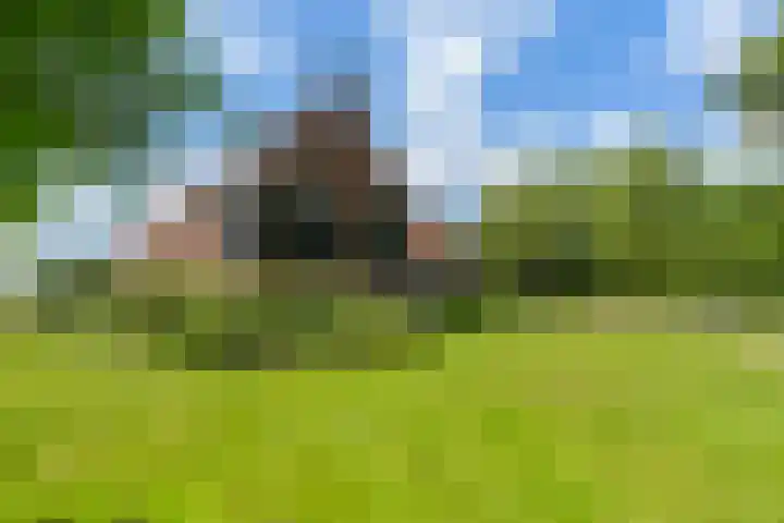 Fjildwei 17 Akmarijp