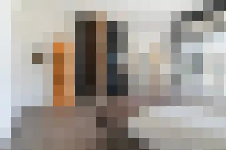 Fjildwei 17 Akmarijp thumbnail 23