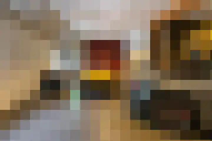Fjildwei 17 Akmarijp thumbnail 37