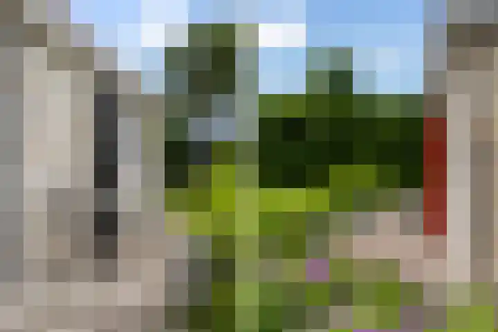 Fjildwei 17 Akmarijp thumbnail 55