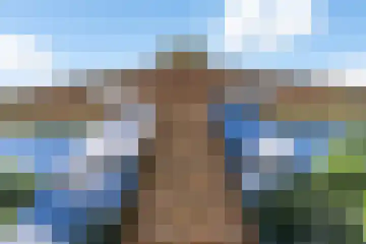 Fjildwei 17 Akmarijp thumbnail 57
