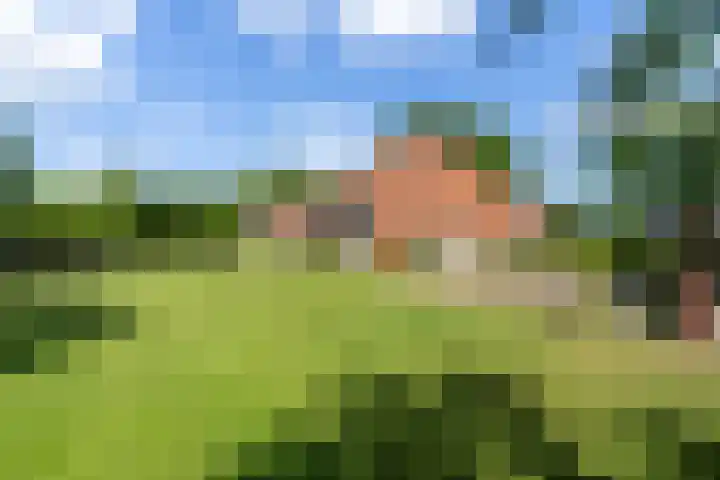 Fjildwei 17 Akmarijp thumbnail 61