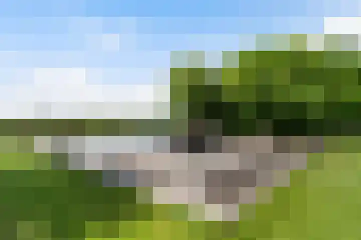 Fjildwei 17 Akmarijp thumbnail 70