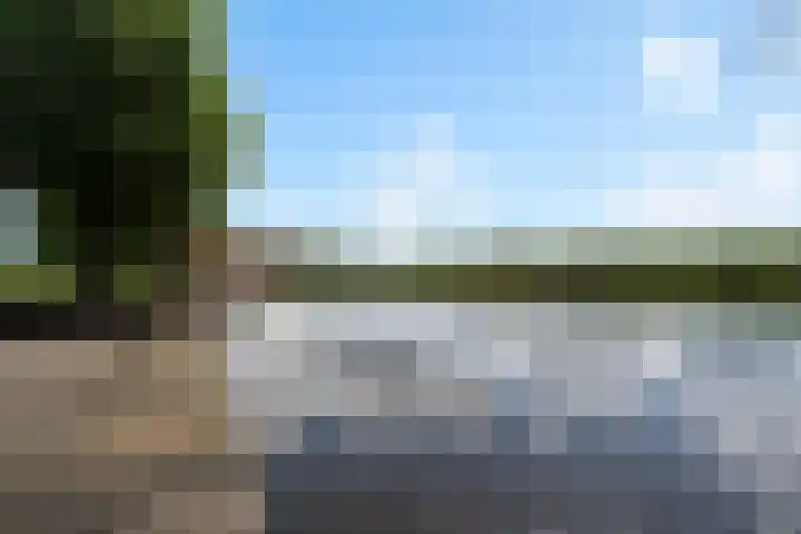 Fjildwei 17 Akmarijp thumbnail 71
