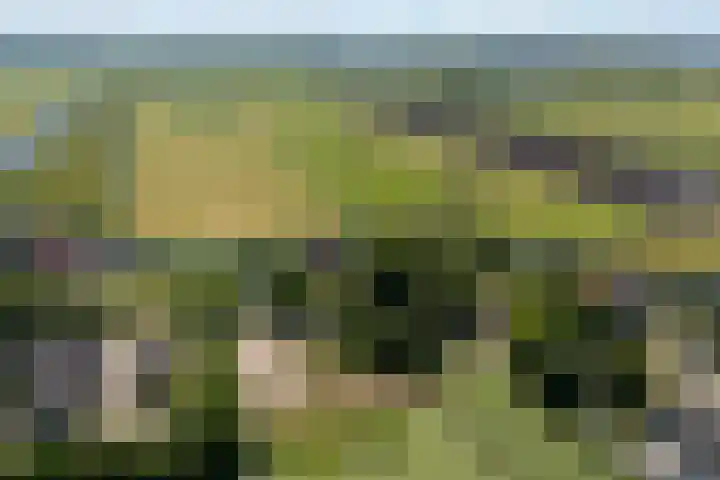 Fjildwei 17 Akmarijp thumbnail 74
