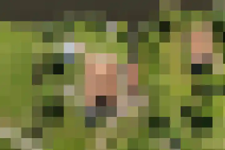 Fjildwei 17 Akmarijp thumbnail 75