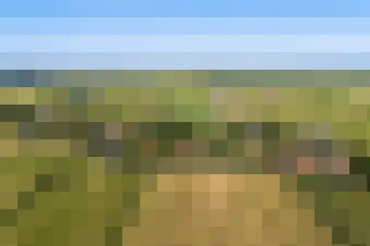 Fjildwei 17 Akmarijp thumbnail 77