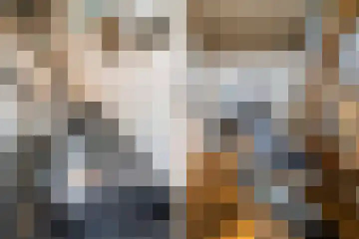 Fjildwei 17 Akmarijp thumbnail 8