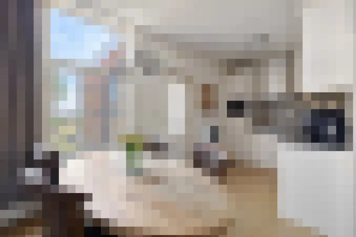 Fjildwei 22 Akmarijp thumbnail 16