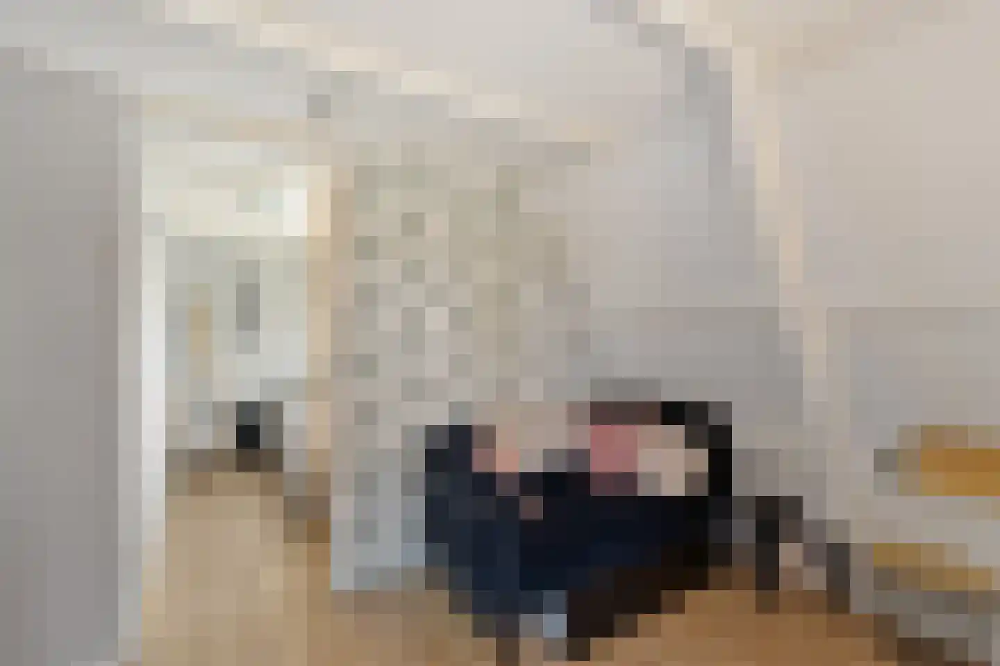 Fjildwei 22 Akmarijp thumbnail 21