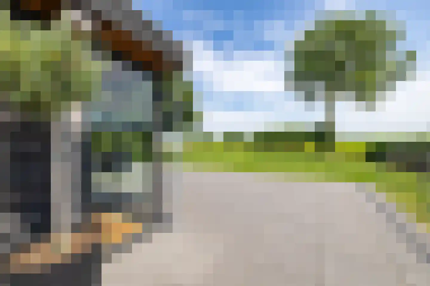 Fjildwei 22 Akmarijp thumbnail 25