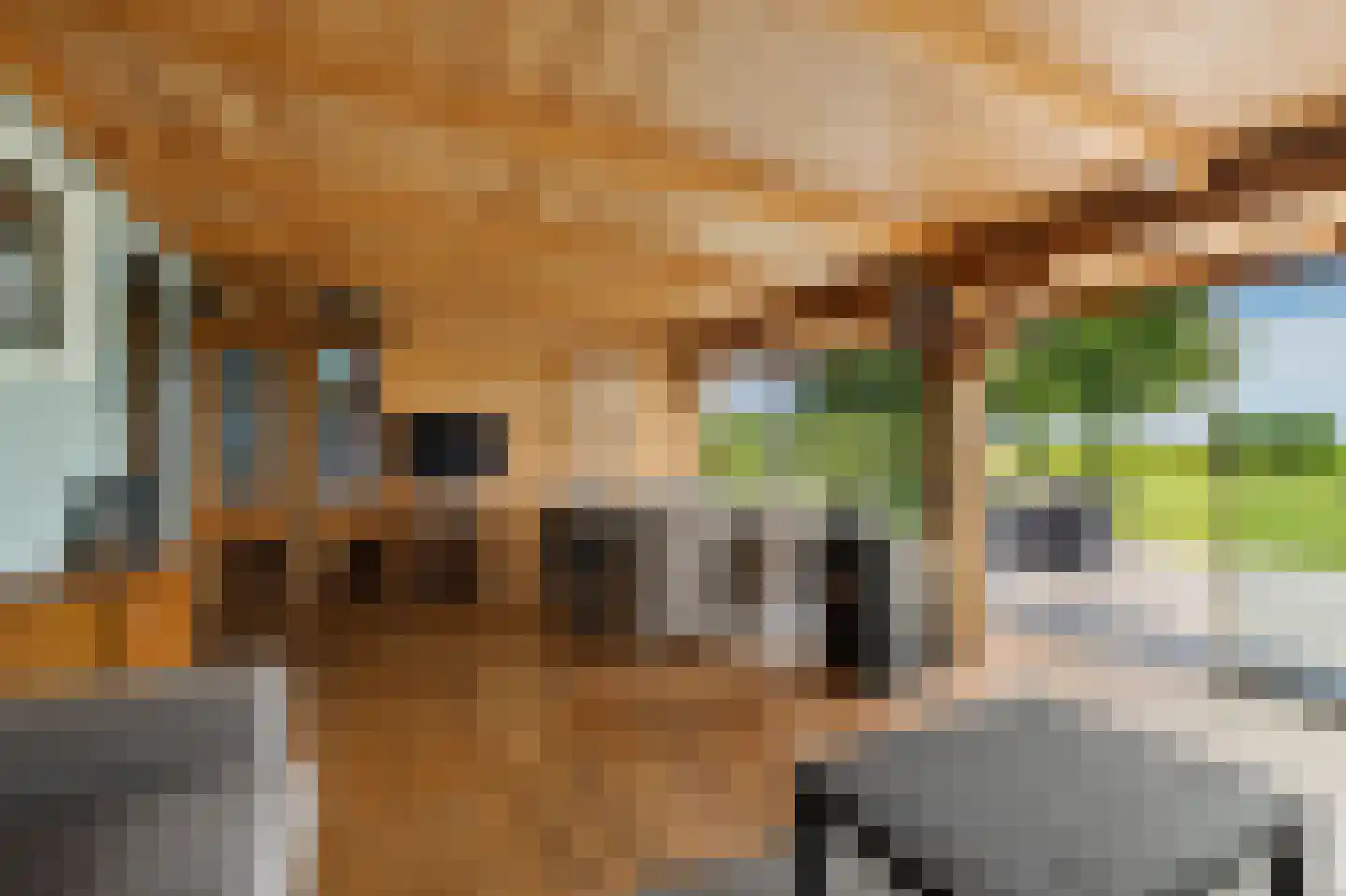 Fjildwei 22 Akmarijp thumbnail 31