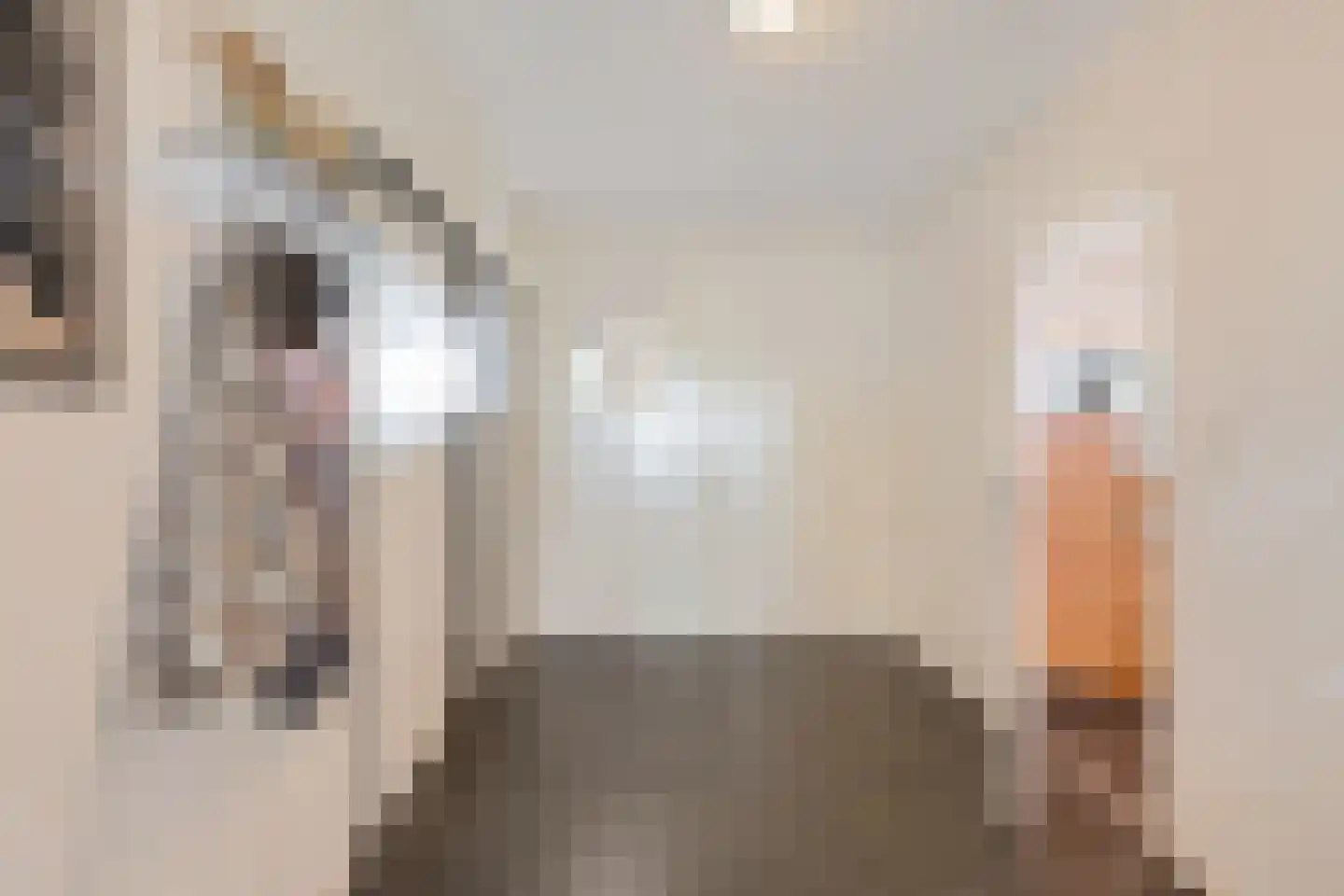 Fjildwei 27 Akmarijp thumbnail 11
