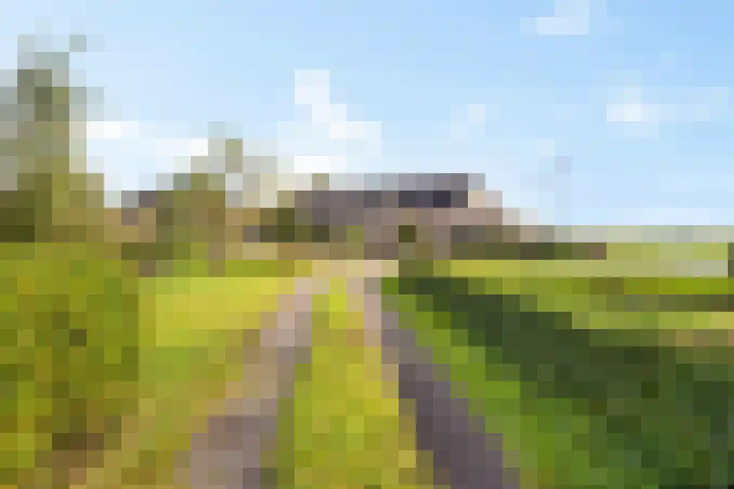 Fjildwei 27 Akmarijp thumbnail 47