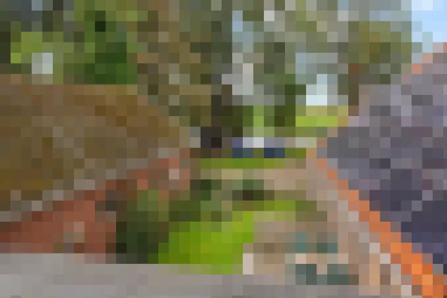 Fjildwei 27 Akmarijp thumbnail 7