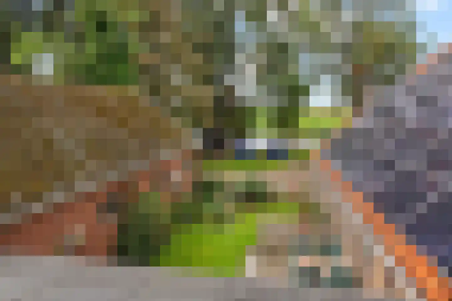 Fjildwei 27 Akmarijp thumbnail 8