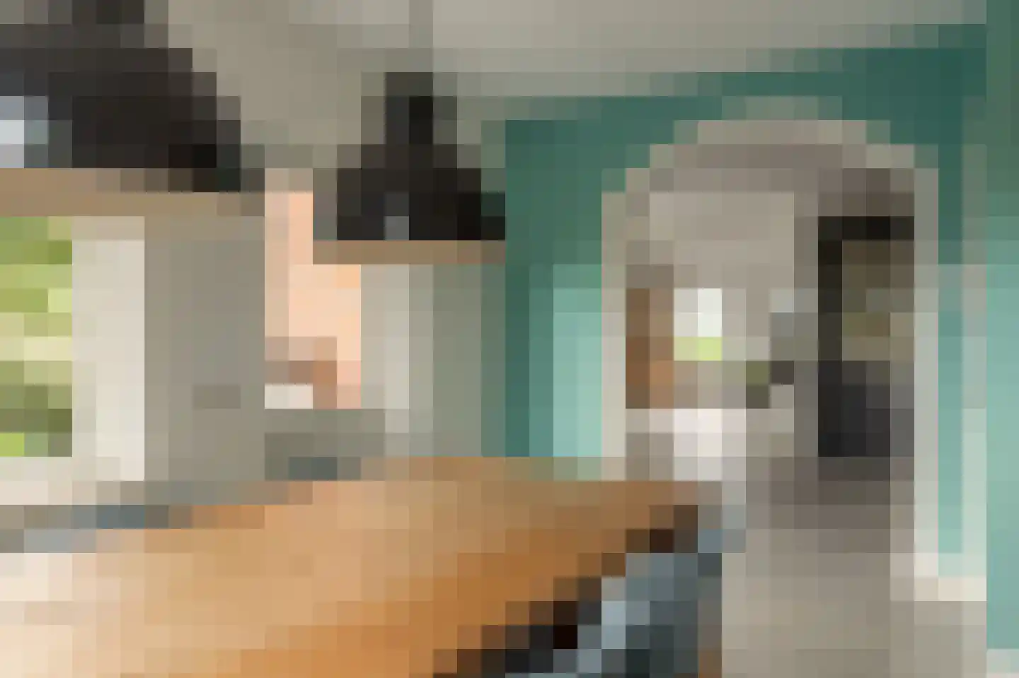 Fjildwei 39 Akmarijp thumbnail 15