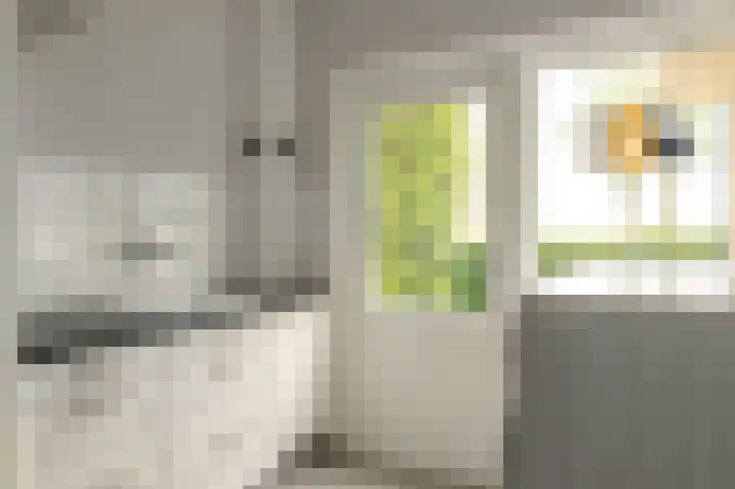 Fjildwei 39 Akmarijp thumbnail 17