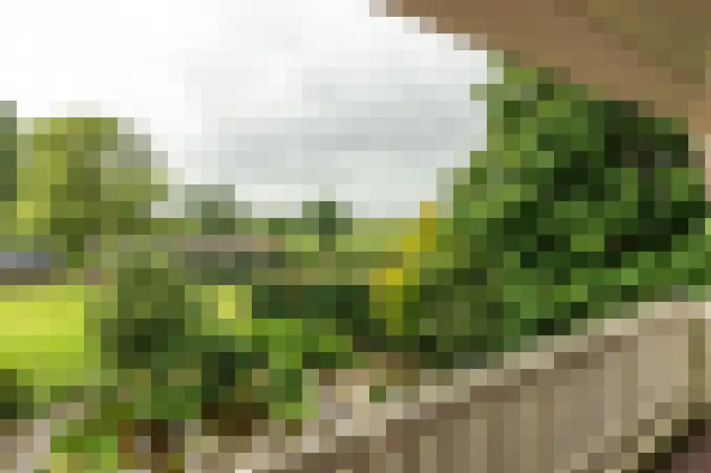 Fjildwei 39 Akmarijp thumbnail 23