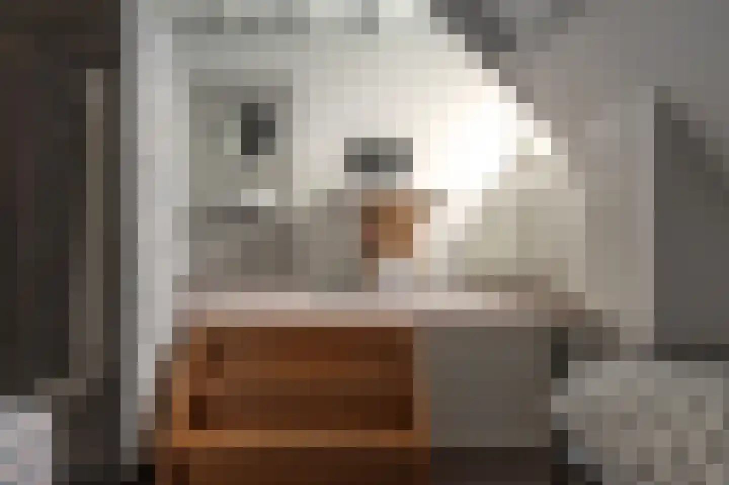 Fjildwei 39 Akmarijp thumbnail 29