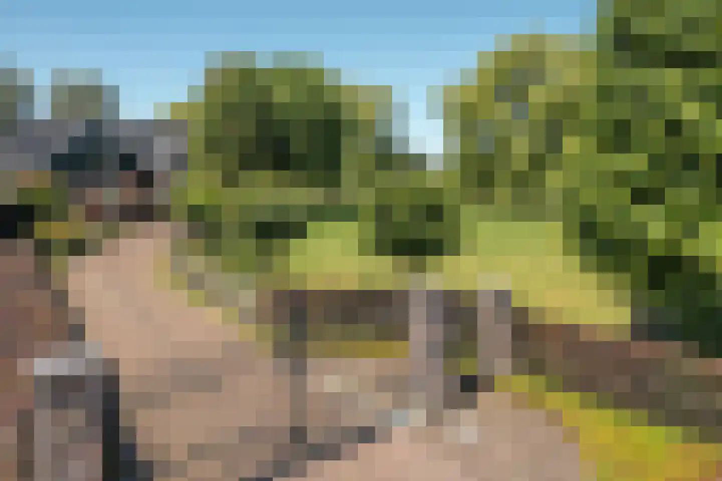 Fjildwei 39 Akmarijp thumbnail 47