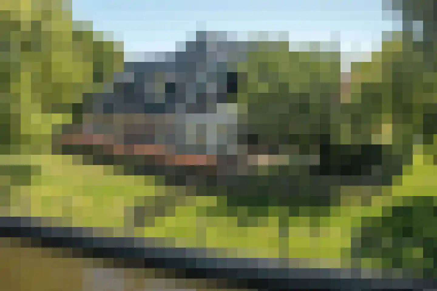 Fjildwei 39 Akmarijp thumbnail 53
