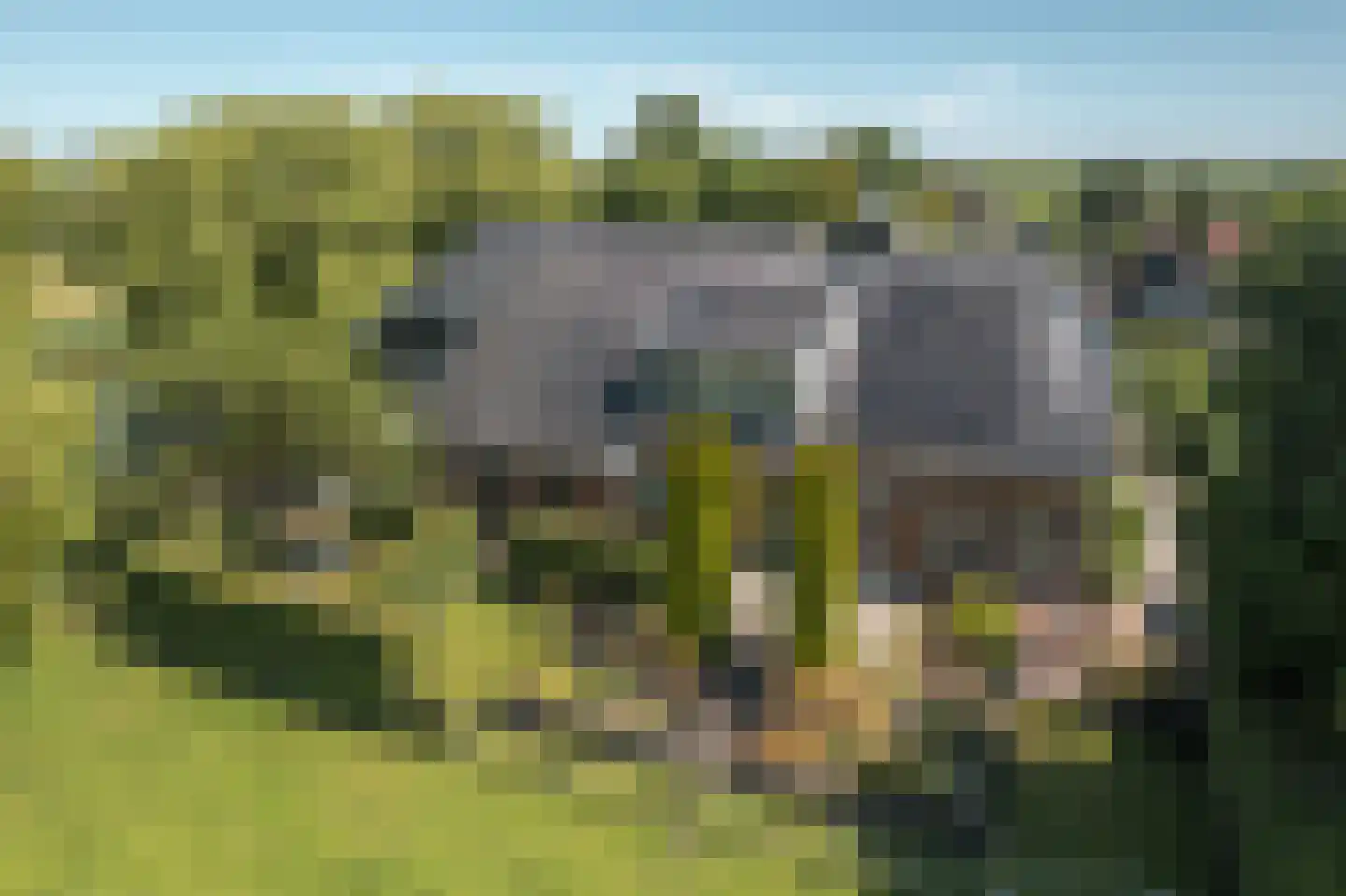 Fjildwei 39 Akmarijp thumbnail 61