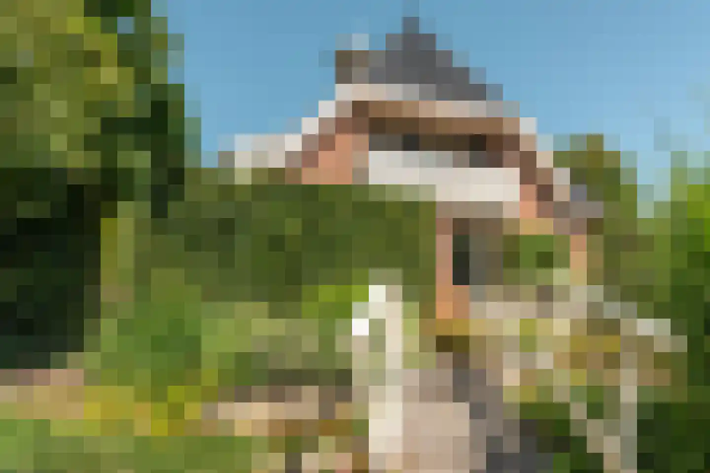 Fjildwei 39 Akmarijp thumbnail 63