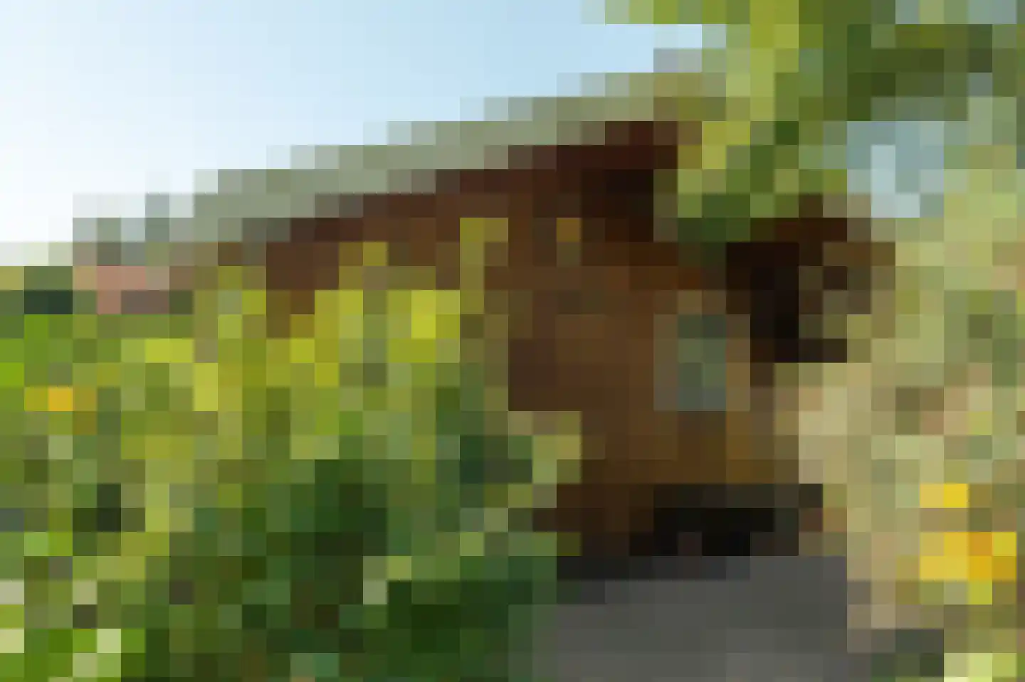 Fjildwei 39 Akmarijp thumbnail 67