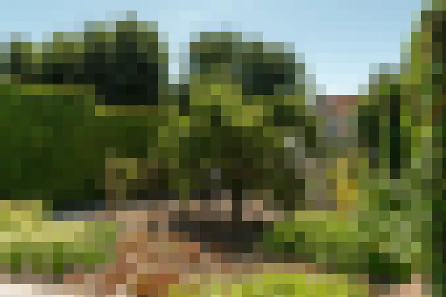 Fjildwei 39 Akmarijp thumbnail 69