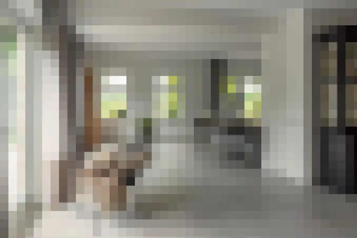 Fjildwei 39 Akmarijp thumbnail 7