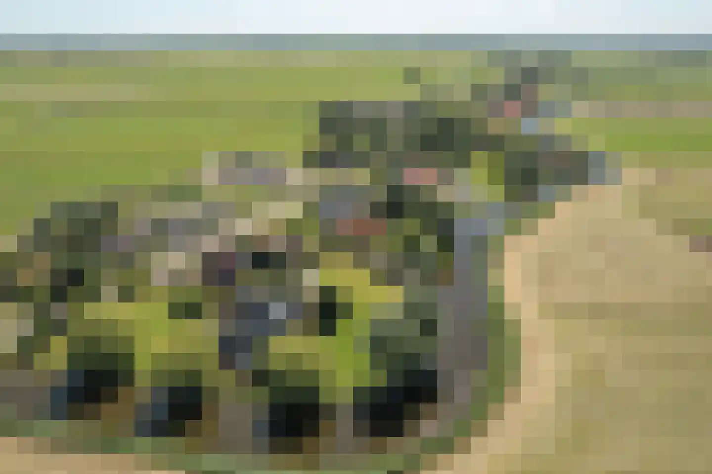 Fjildwei 39 Akmarijp thumbnail 75