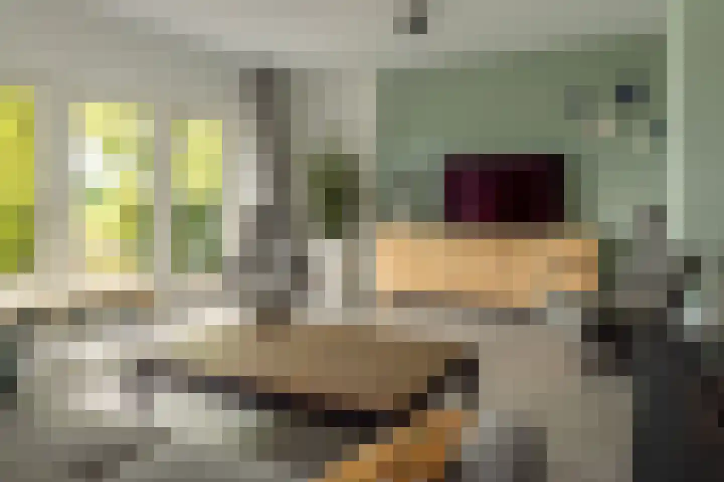 Fjildwei 39 Akmarijp thumbnail 9