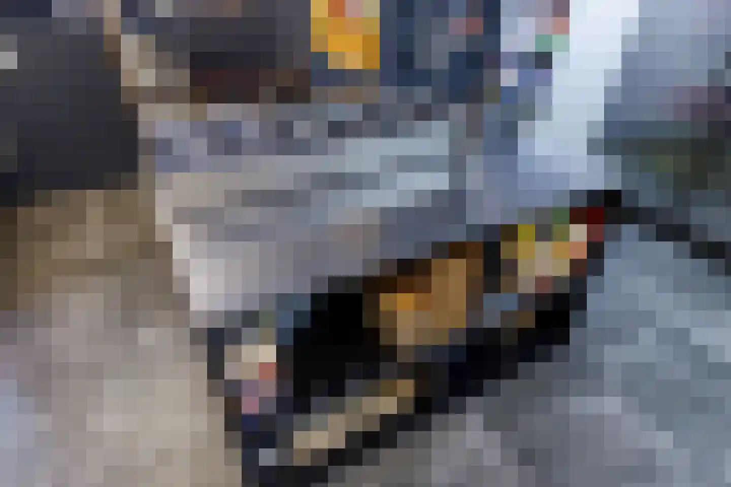 Fjildwei 4 A Jistrum thumbnail 14