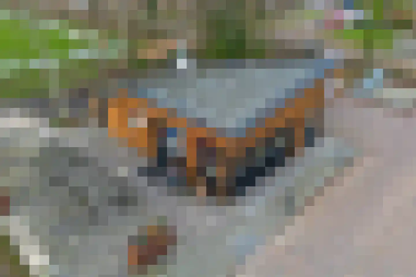 Fjildwei 4 A Jistrum thumbnail 22