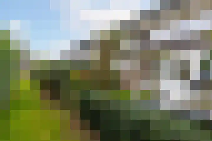 Fjorddal 13 Schiedam thumbnail 33