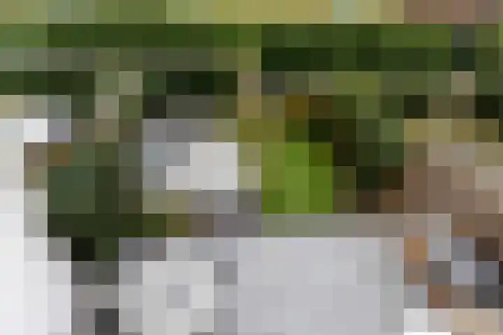Fjorddal 13 Schiedam thumbnail 4