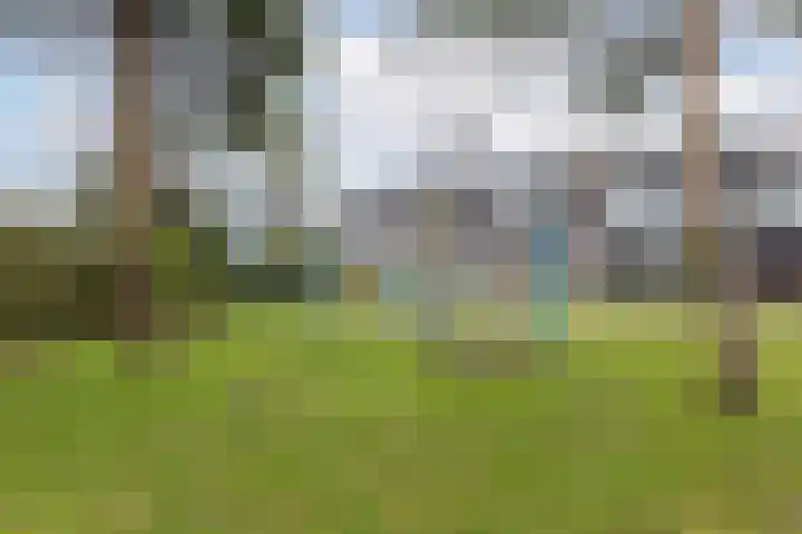 Fjorddal 13 Schiedam thumbnail 57