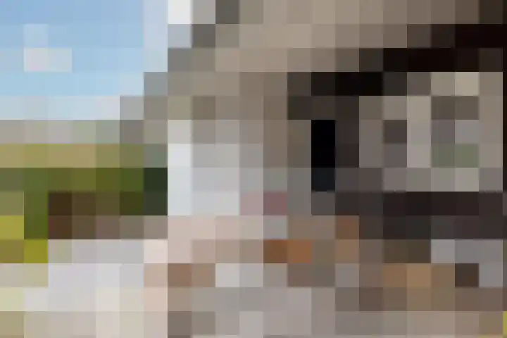 Fjorddal 13 Schiedam thumbnail 7