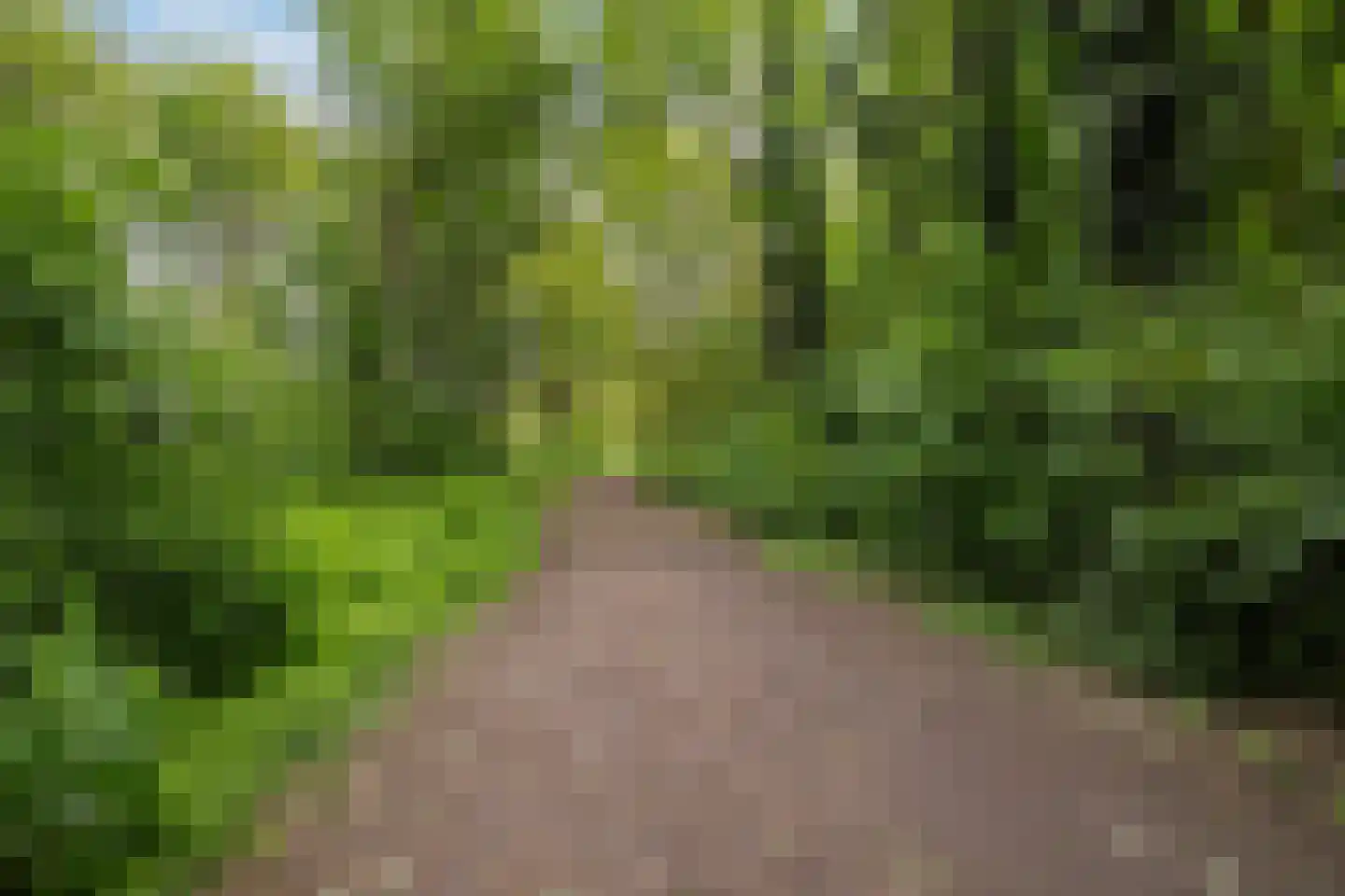 Fjorddal 14 Schiedam thumbnail 33