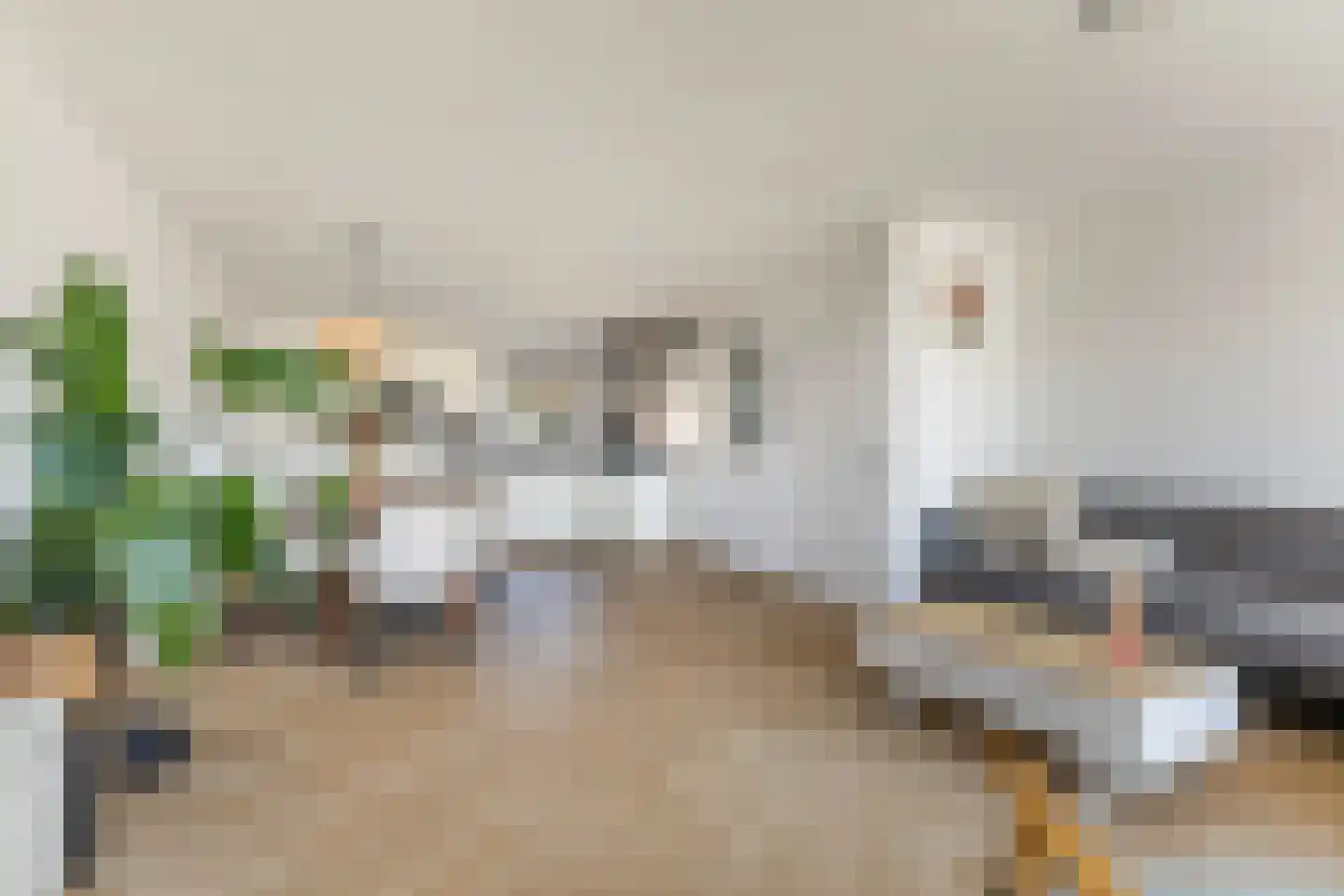 Flaaks-ikker 18 Westergeast thumbnail 11