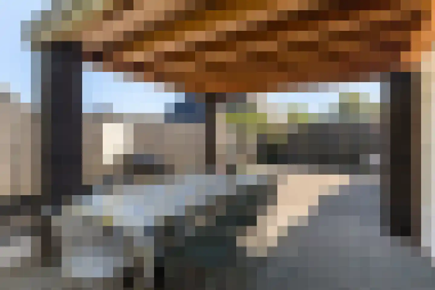 Flaaks-ikker 18 Westergeast thumbnail 20