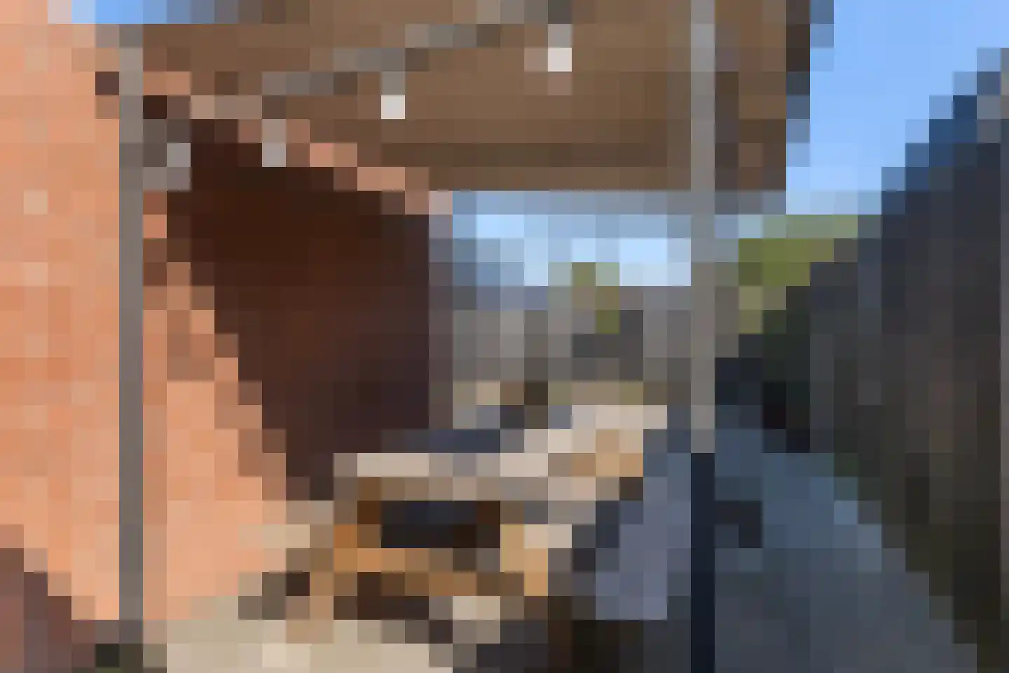 Flaaks-ikker 18 Westergeast thumbnail 24