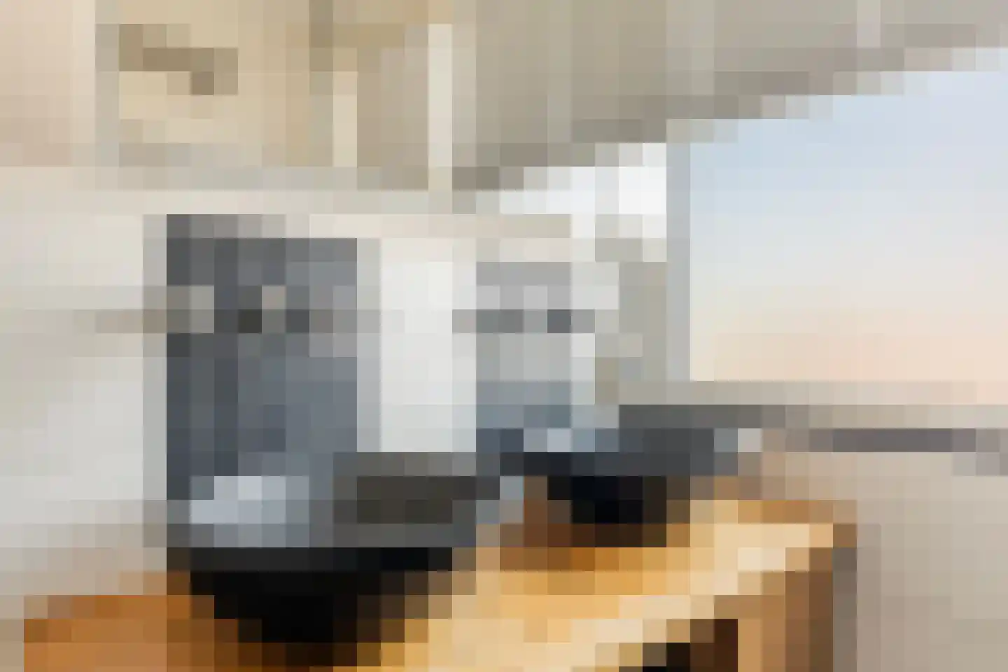 Flaaks-ikker 18 Westergeast thumbnail 36