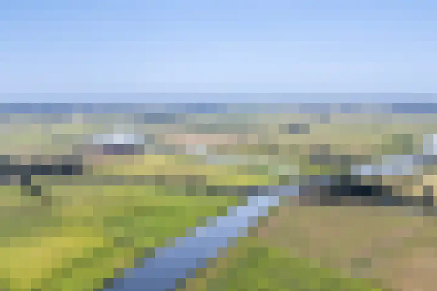 Flaaks-ikker 18 Westergeast thumbnail 4
